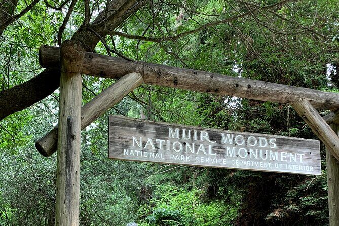 Muir Woods, Sausalito and Golden Gate Bridge - Key Points