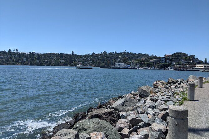 Muir Woods, Sausalito and Tiburon Day Trip from San Francisco - The Sum Up: Who Will Love This Tour?