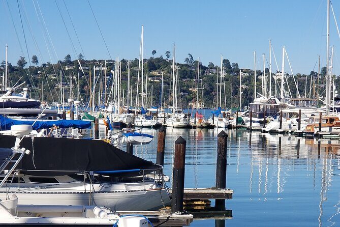 Muir Woods Sausalito Entry & Ferry to Fishermans Wharf included - A Closer Look at the Itinerary