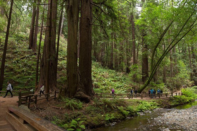 Muir Woods & Sausalito (Return by Bus or Ferry) - What’s Included and What’s Not