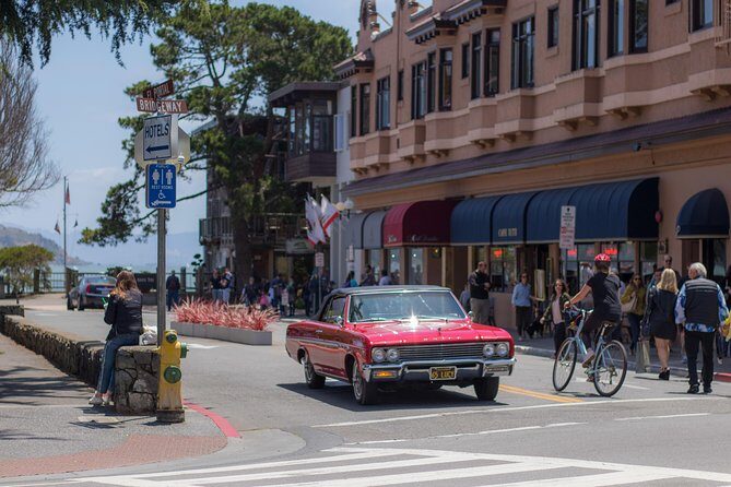 Muir Woods & Sausalito (Return by Bus or Ferry) - Who Is This Tour Perfect For?