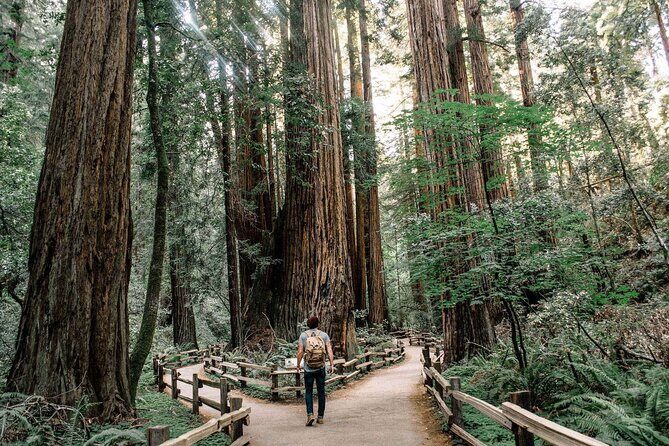 Muir Woods & Sausalito: Small Group Experience - Introduction