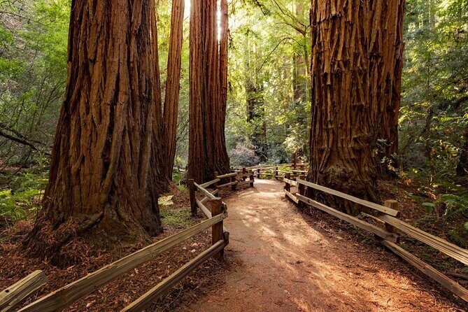 Muir Woods & Sausalito Tour - Key Points