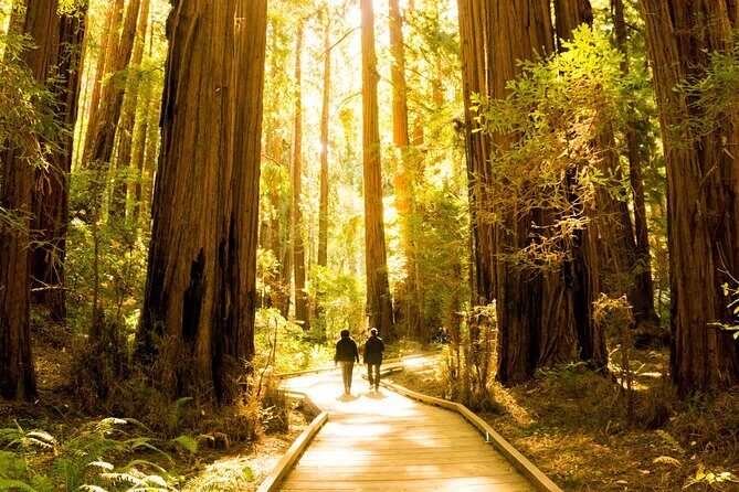 Muir Woods & Sausalito Tour + Hop-On Hop-Off Tour - Why This Tour Works for Different Travelers