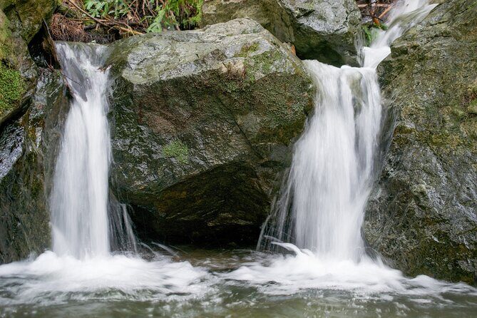Muir Woods Self-Guided Driving and Walking Audio Tour - Who Should Consider This Tour?