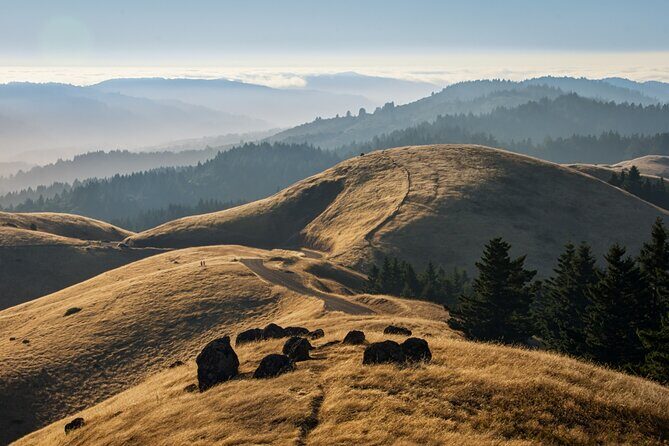 Muir Woods Self-Guided Driving and Walking Audio Tour - Final Thoughts