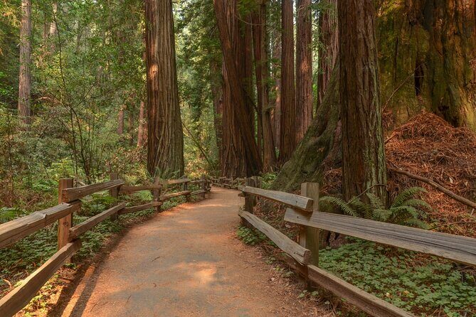Muir Woods Self-Guided Driving and Walking Audio Tour - FAQs