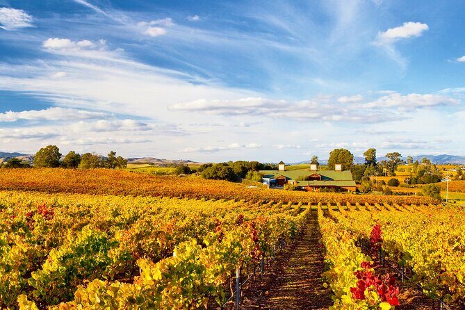 Muir Woods & Wine Tour: Redwoods & Tastings at 3 Wineries - Final Thoughts: Is This Tour Right for You?
