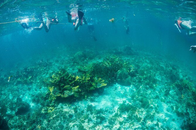 Mujeres Island Tour by Catamaran from Cancun City - The Sum Up