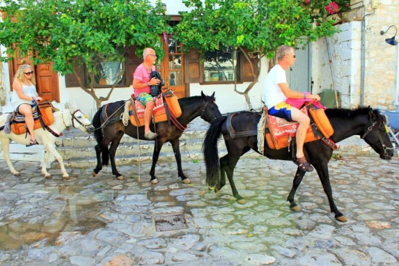 Mules Tour from Chefchaouen - Final Thoughts: Is This Tour Right for You?