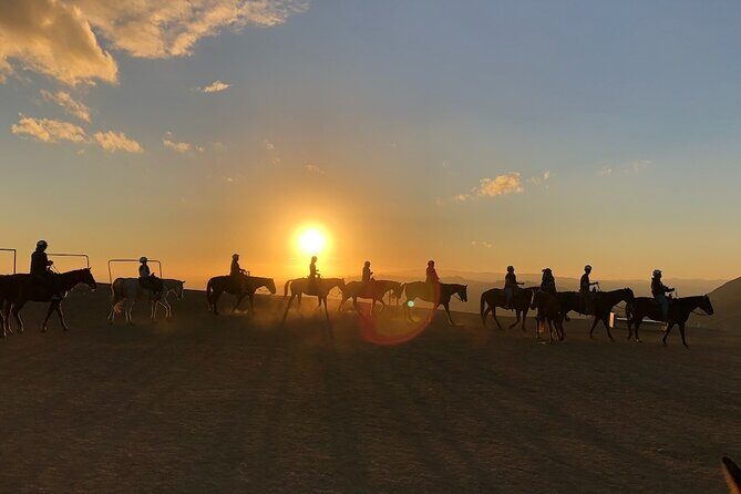 Mulholland Trail Horseback Tour - Practical Details: What to Know Before You Go
