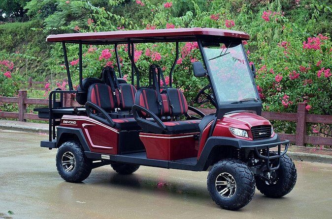 Multi Day 6 Passenger LSV Golf Cart Rental - The Sum Up: Is This Rental Right for You?