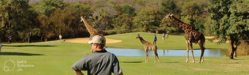 Multi-day Golf & Kruger Park Safari Tour from Johannesburg - Practicalities and Tips