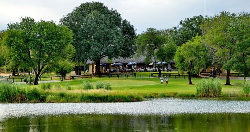 Multi-day Golf & Kruger Park Safari Tour from Johannesburg - Authentic Experiences and Review Highlights