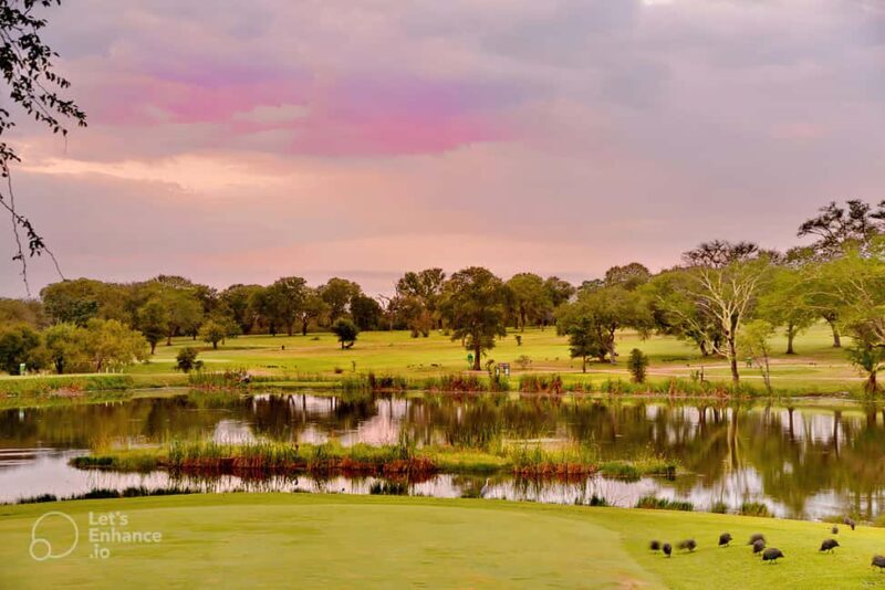 Multi-day Golf & Kruger Park Safari Tour from Johannesburg - Who Should Consider This Tour?