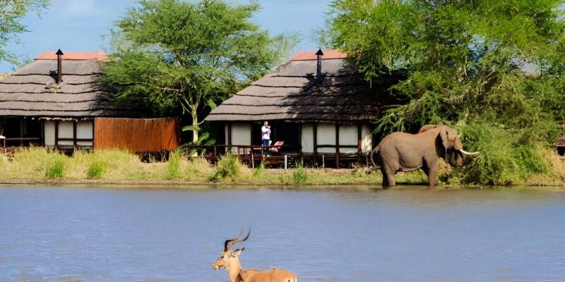 Multi-day Golf & Kruger Park Safari Tour from Johannesburg - FAQ