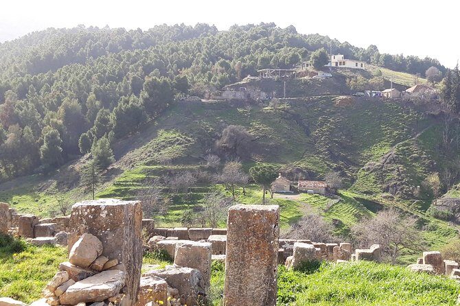 Multi Day Tour in Algeria with Certified Guide - How Valuable Is This Tour?