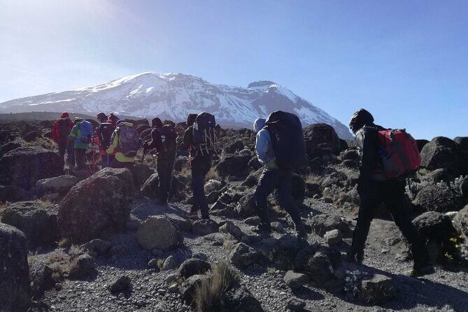 Multi-Day Tour RONGAI Route Kilimanjaro Trekking - The Detailed Journey: What to Expect