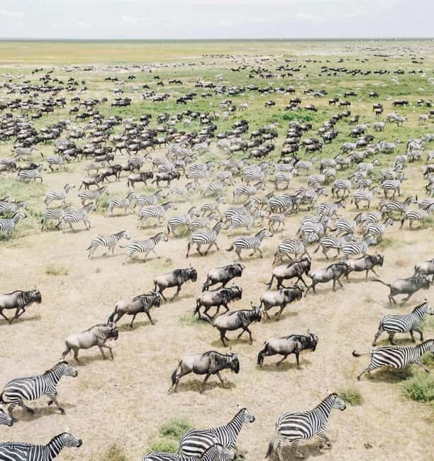 **"Multi-Days Camping Safari Adventure: Tanzania & Kenya"** - An In-Depth Look at What This Safari Offers