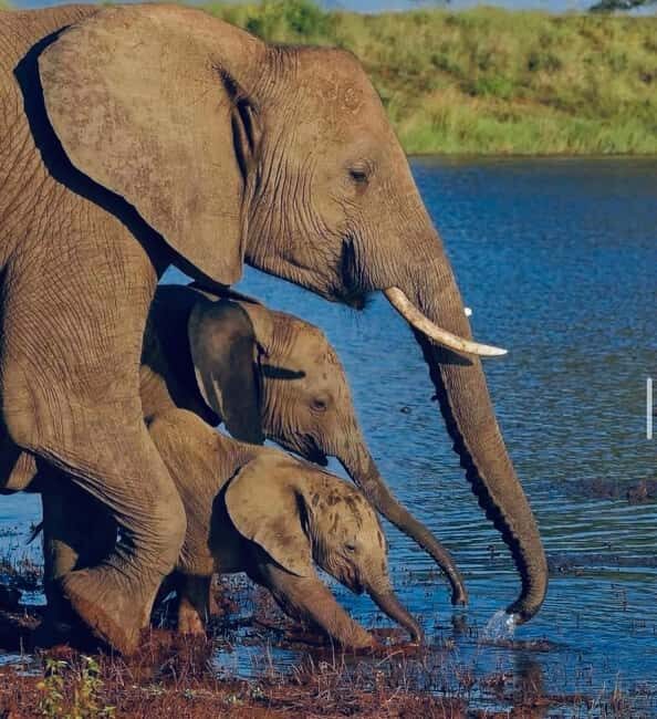 **"Multi-Days Camping Safari Adventure: Tanzania & Kenya"** - Final Thoughts: Who Will Love This Safari?
