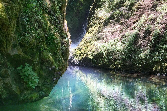 Multnomah Falls and Columbia River Gorge Half-Day Hiking Tour - Latourell Falls: A Lesser-Known Treasure