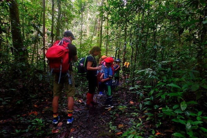Mulu Headhunter's Trail - 3 Days Trekking & Cultural Experience - Day 2: Trekking and Cultural Immersion