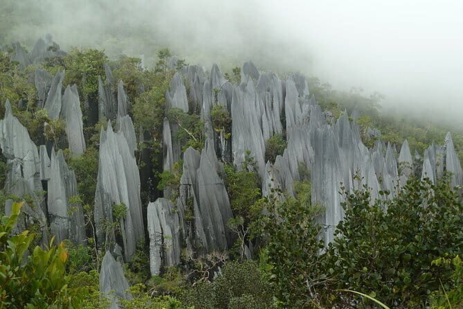 Mulu Headhunter's Trail - 3 Days Trekking & Cultural Experience - Cost and Value: What’s Included and What’s Not
