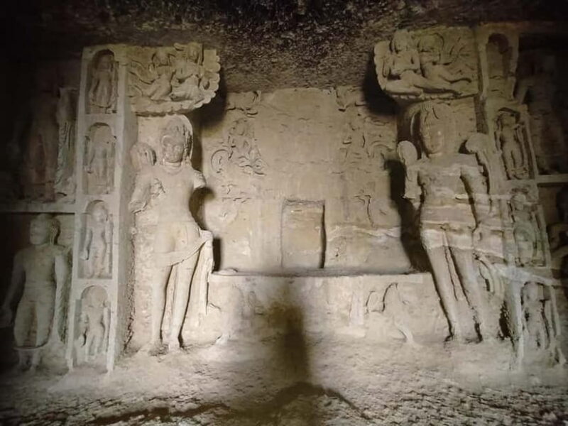 Mumbai: Buddhist Kanheri Caves with Golden Pagoda Temple - Wildlife Safari: An Optional Adventure