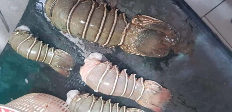 Mumbai Coastal Cooking: From Fishing Net to Flavourful Plate - Practical Considerations and Tips