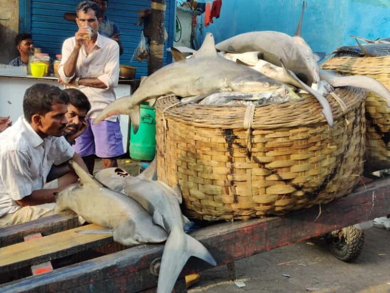 Mumbai Coastal Cooking: From Fishing Net to Flavourful Plate - Who Will Love This Tour?