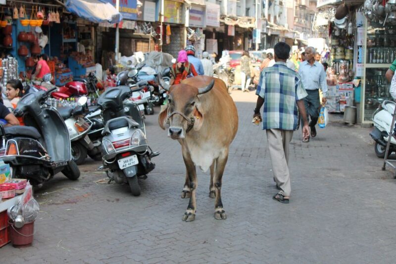 Mumbai Hidden Gems : Early Morning Tour with Expert Guide - Who Should Consider This Tour?