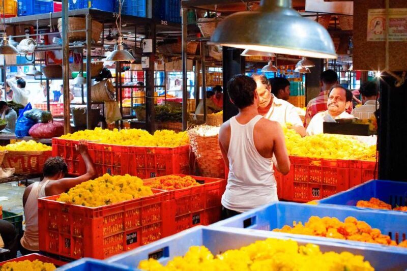 Mumbai: Local Transport & Dabbawallah Tour - Who Will Love This Tour?