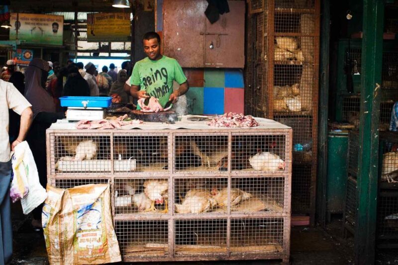 Mumbai: Local Transport & Dabbawallah Tour - FAQs