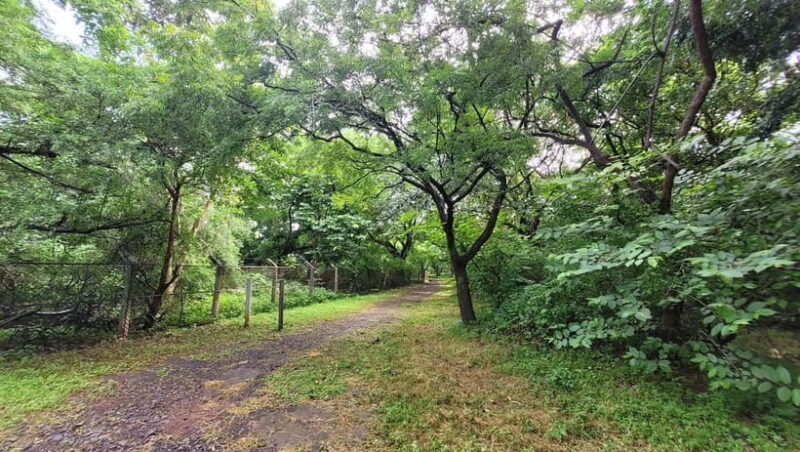 Mumbai: Maharashtra Nature Park Guided Nature Trail - The Transformation Story