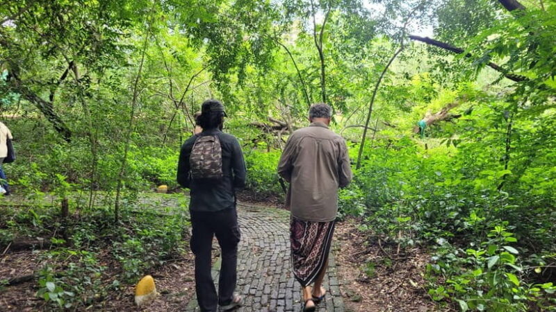 Mumbai: Maharashtra Nature Park Guided Nature Trail - Who Will Love This Tour?