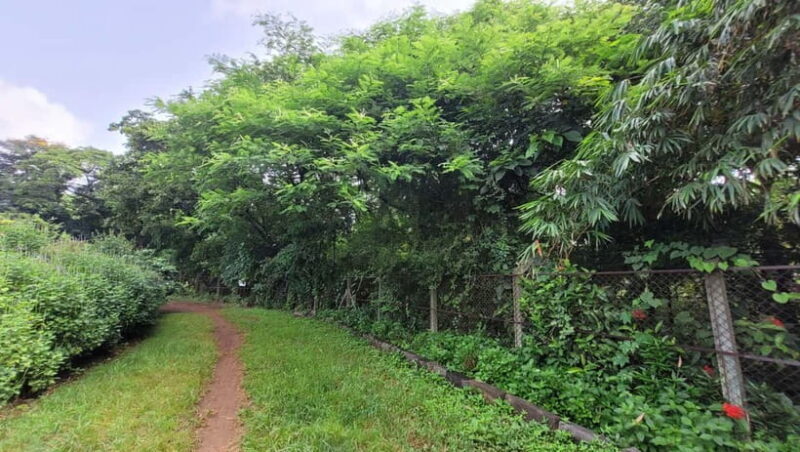 Mumbai: Maharashtra Nature Park Guided Nature Trail - The Sum Up