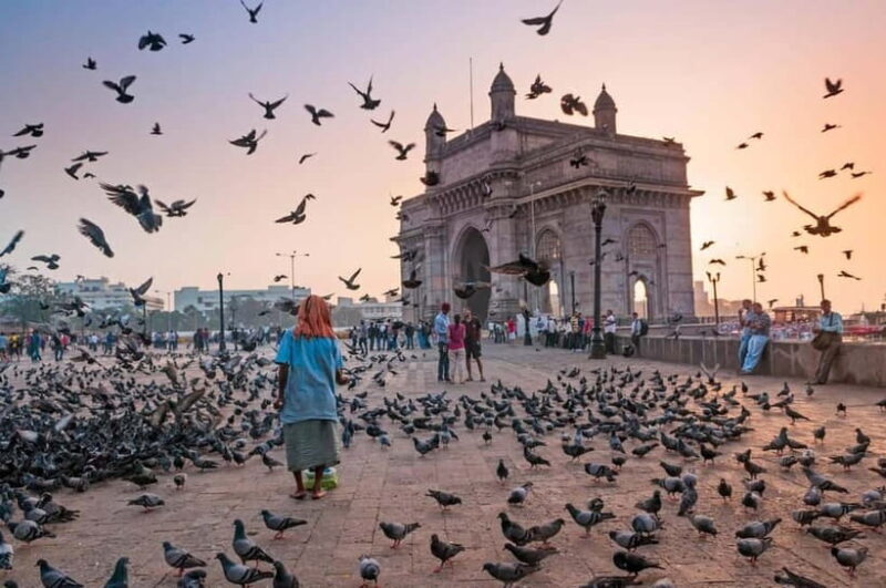 Mumbai Marvels Tour | 4 Hour Private City Tour with Guide - The Practical Side: What You Should Know