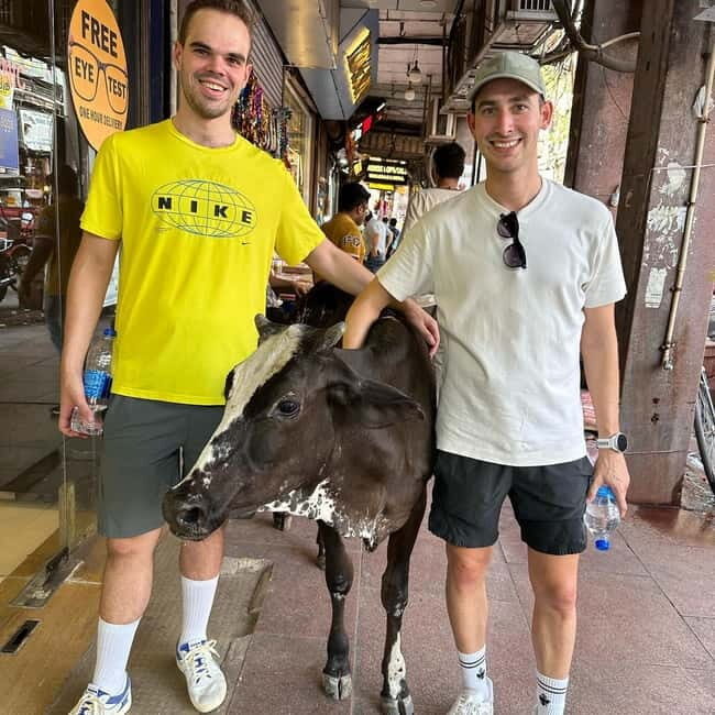 Mumbai: Private Sightseeing Tour & Slum Tour with a Local - Key Points