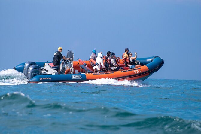 Munba Ballena Tour by Power Boat - Final Thoughts