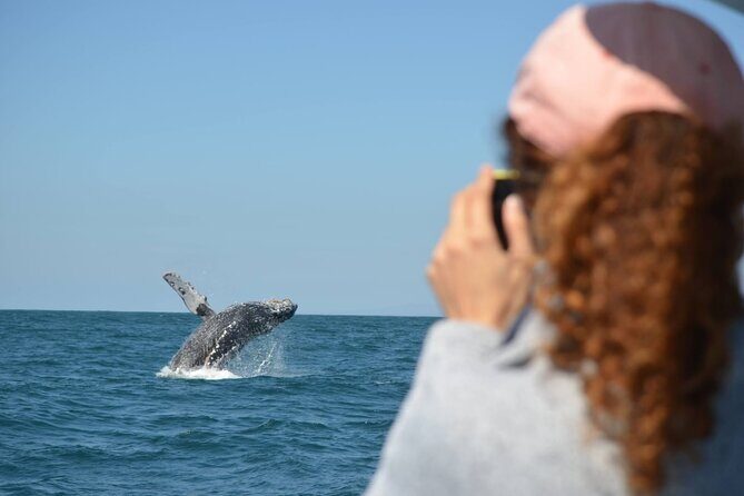 Munba Ballena Tour by Power Boat - FAQ