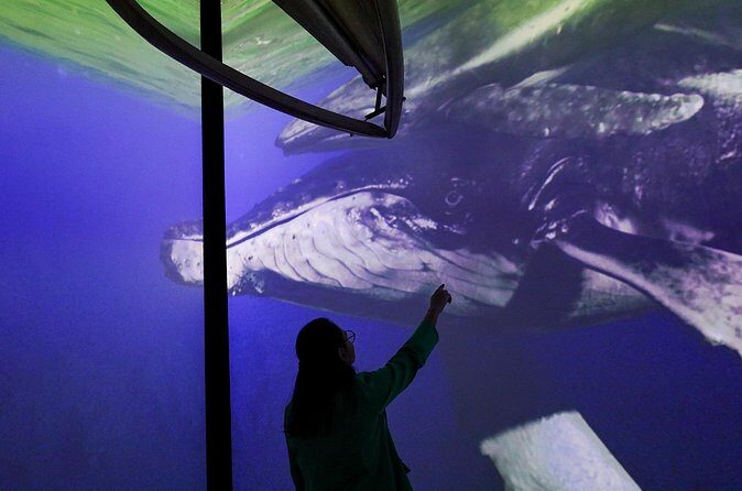 Munba National interactive Whale Museum - Deep Dive: The Itinerary in Detail