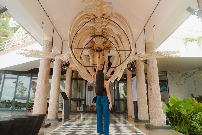 Munba National interactive Whale Museum - Who Should Visit?