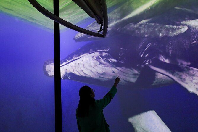 Munba National interactive Whale Museum - The Sum Up: The Value of MUNBA in Your Mazatlán Visit