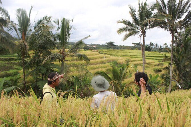 Munduk Private Customized Highlights Tour - Exploring the Itinerary in Detail