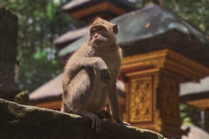 Munduk: Tamblingan jungle trek, waterfall, Ulun Danu temple - What Makes This Tour a Great Value