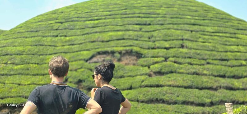 Munnar: Anakulam Jeep Safari to Explore Wild Elephants - An In-Depth Look at the Experience