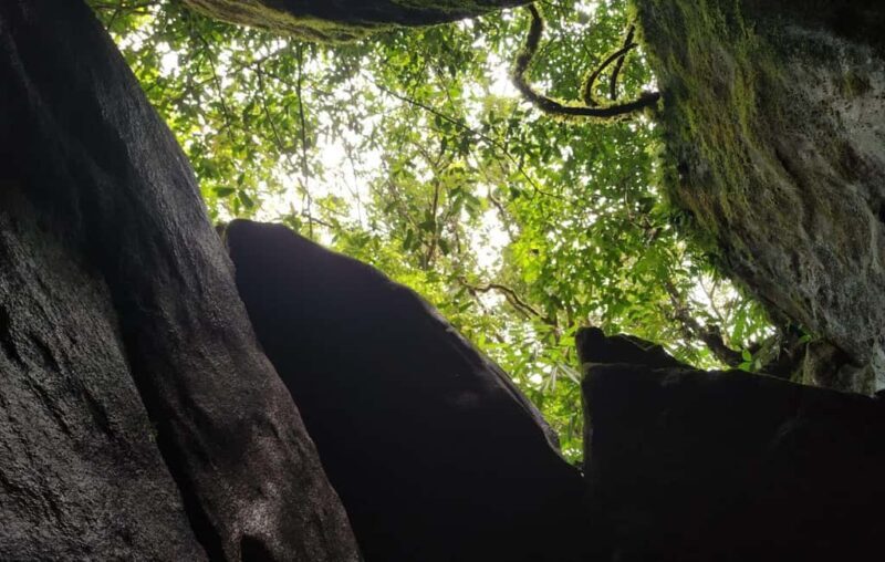 Munnar: Anakulam Jeep Safari to Explore Wild Elephants - What Travelers Say