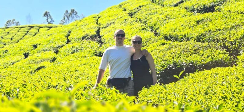 Munnar: Anakulam Jeep Safari to Explore Wild Elephants - Practical Information and Value