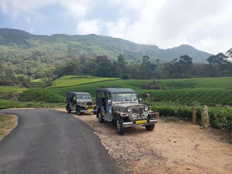 Munnar: Anakulam Jeep Safari with Waterfall and Elephant - Key Points