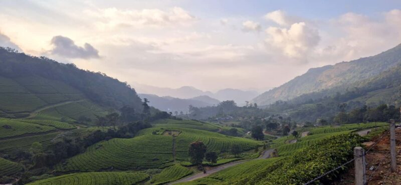 Munnar: Anakulam Jeep Safari with Waterfall and Elephant - Final Thoughts